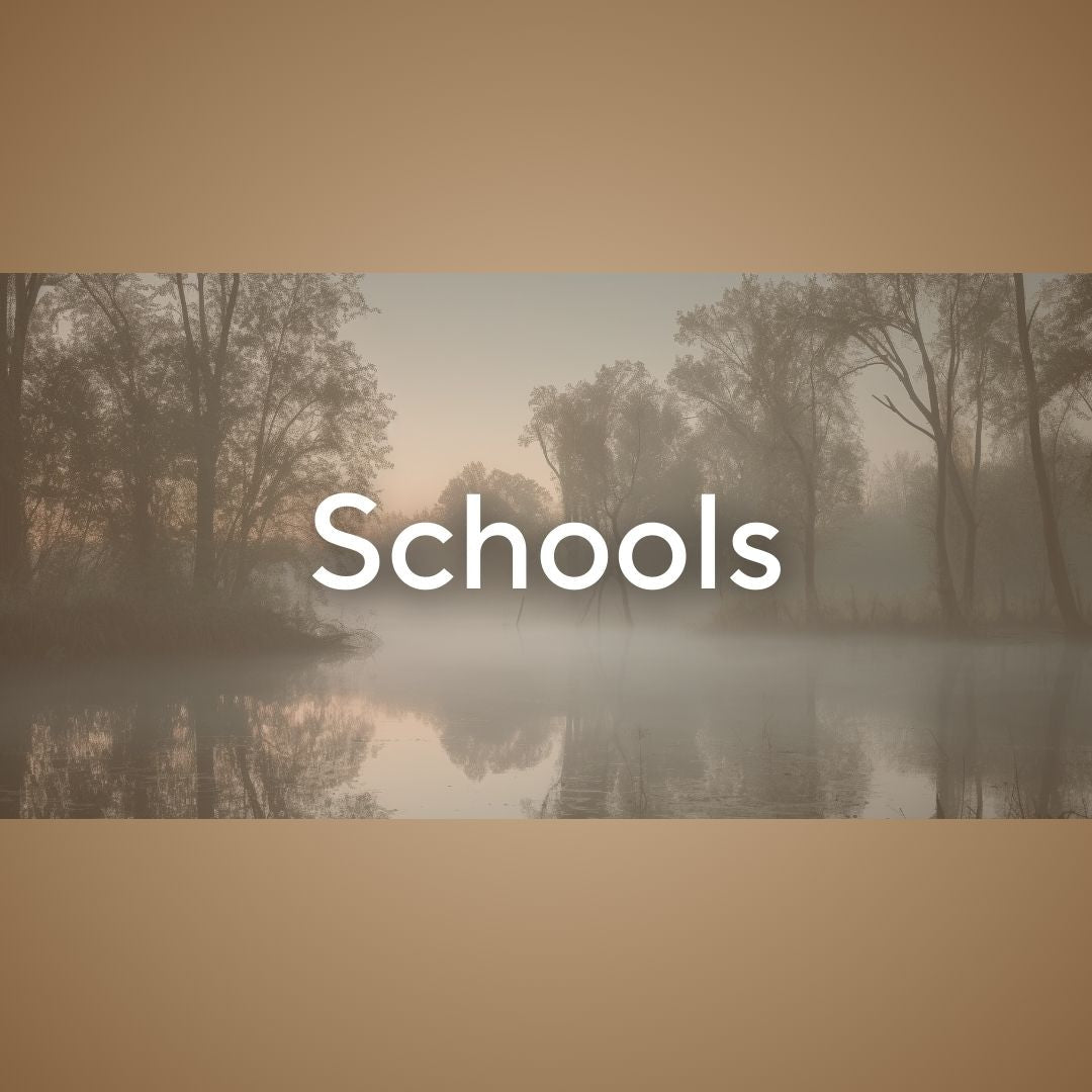 Schools